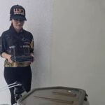 Campo conectado: como Mônica Souza utiliza tecnologia para aumentar resultados no agro
