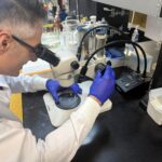 Da agricultura aos medicamentos: estudos em biotecnologia apontam para uma nova geração de soluções